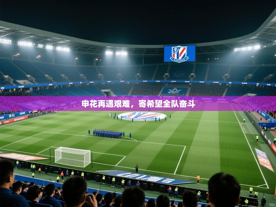 申花再遇艰难，寄希望全队奋斗  第1张