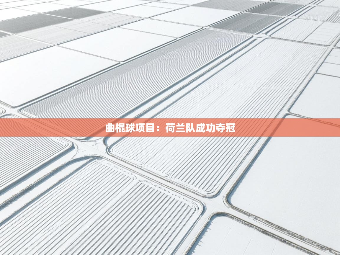 曲棍球项目:荷兰队成功夺冠 第1张