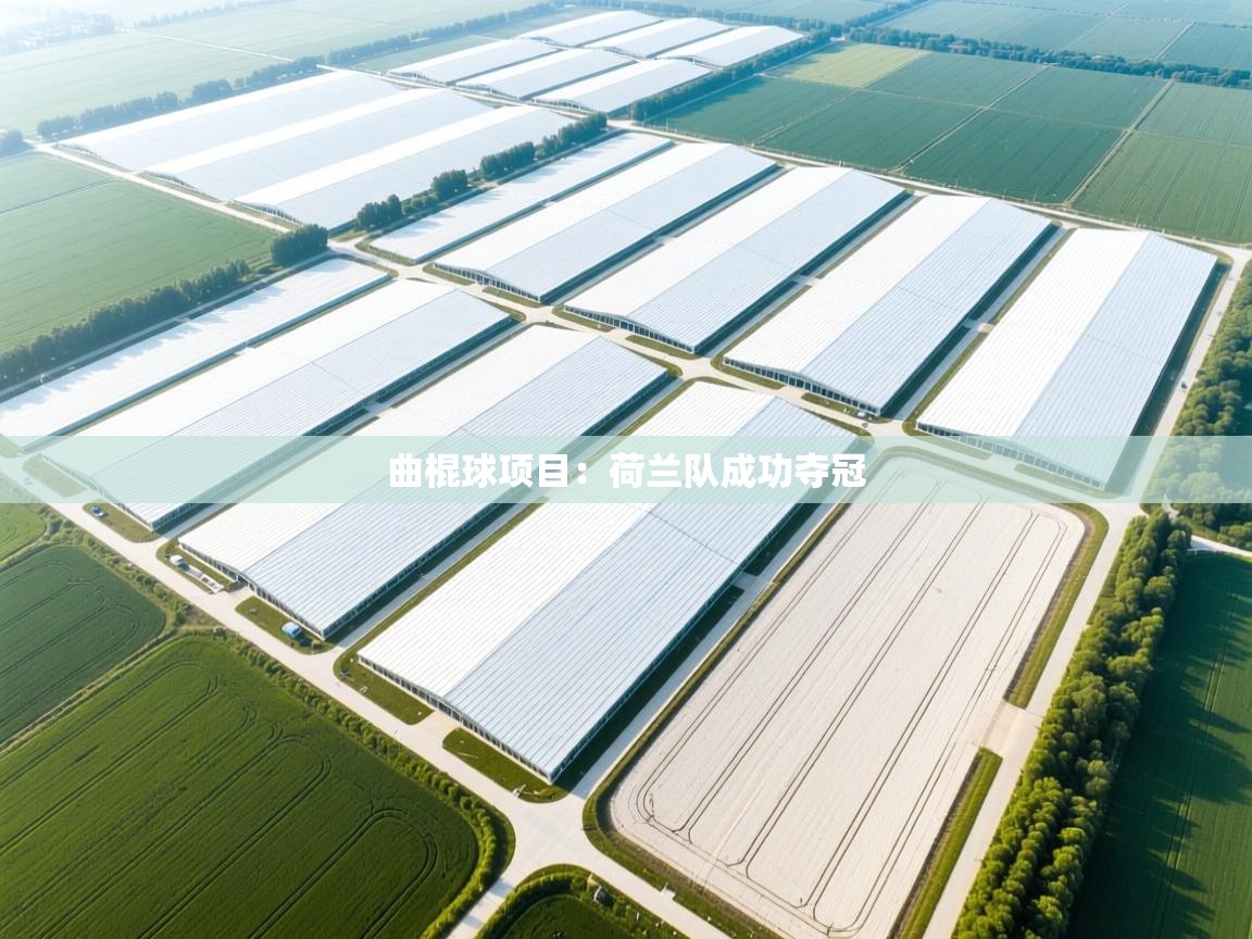 曲棍球项目:荷兰队成功夺冠 第2张